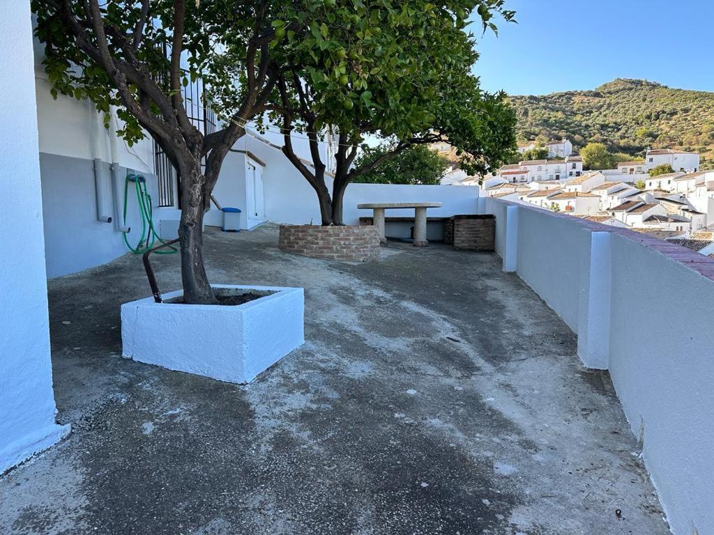 Apartamento Antonia Zahara De La Sierra Eksteriør bilde